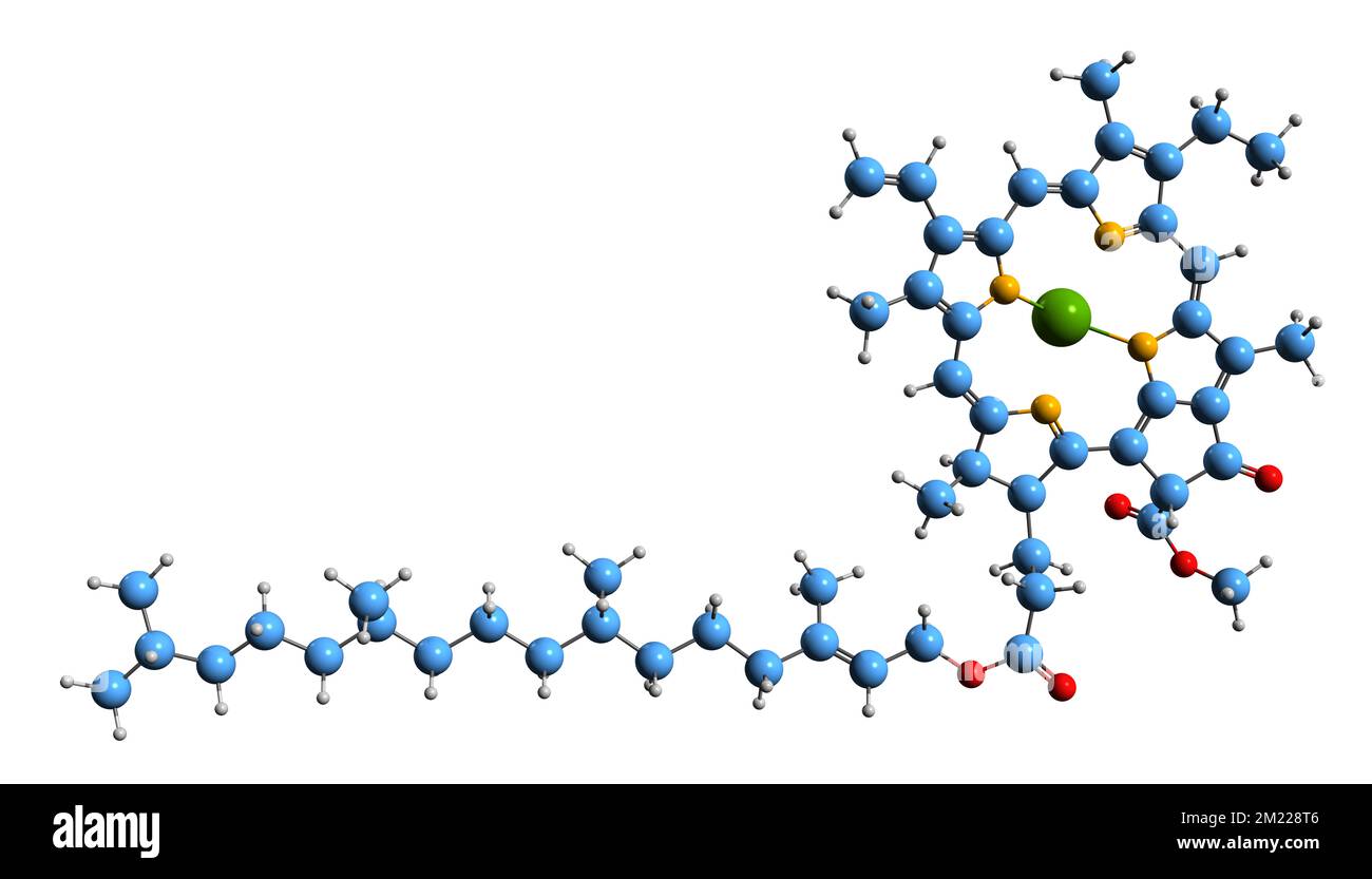 3D image of Chlorophyll а skeletal formula molecular chemical