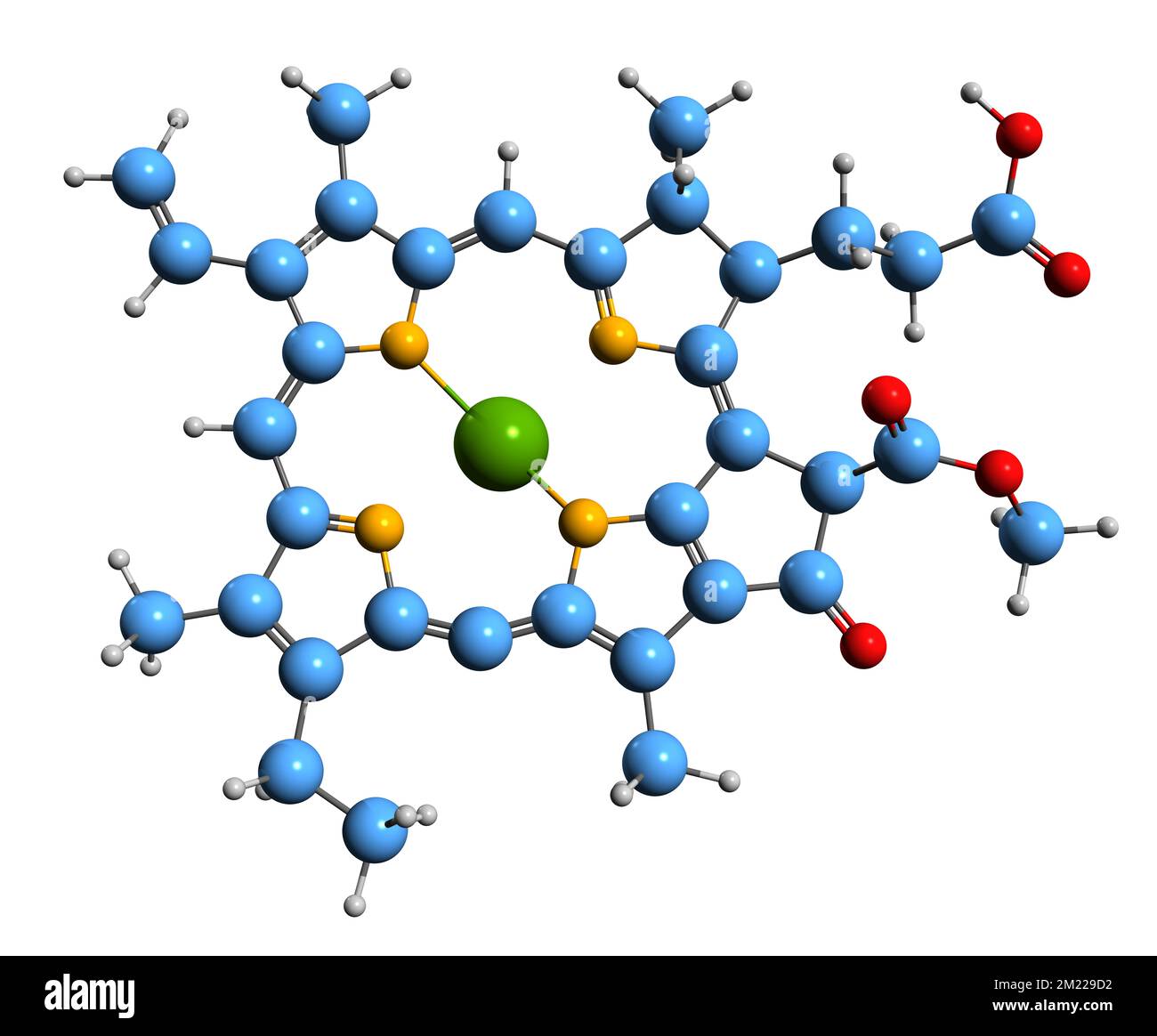 3D image of Chlorophyllide a skeletal formula molecular chemical