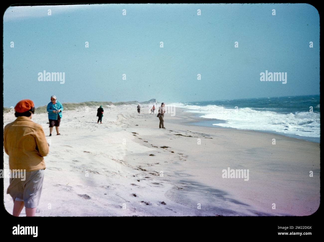 Camera club, north beach, Edgartown, Martha's Vineyard , Beaches