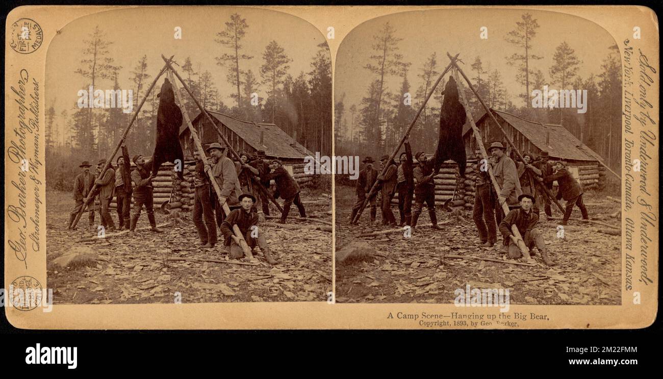 A camp scene - hanging up the big bear , Log cabins, Bear hunting ...