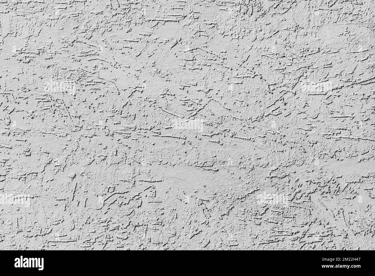 Light gray white decorative plaster abstract bark beetle pattern wall