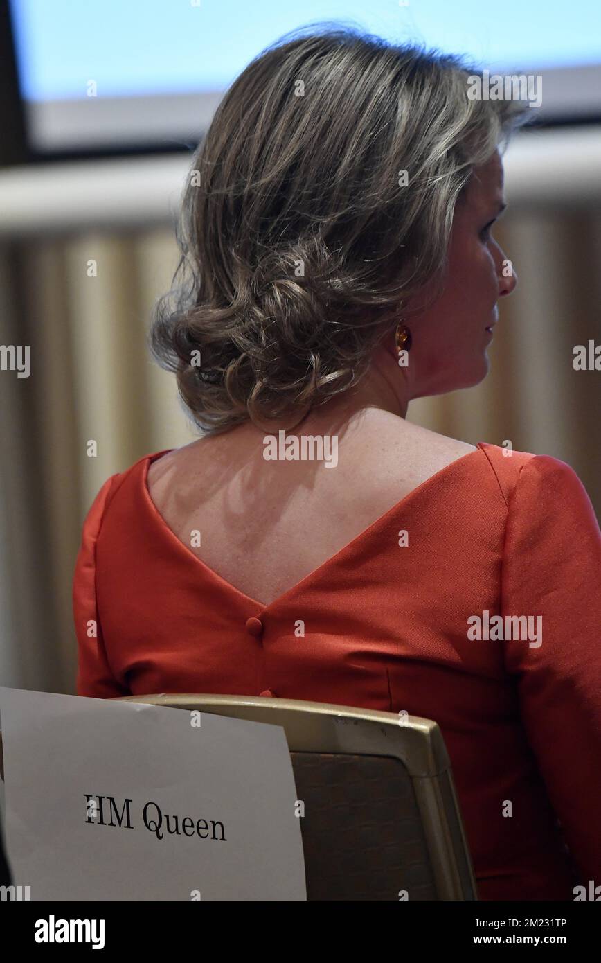 Queen Mathilde of Belgium pictured during a conference on Women in