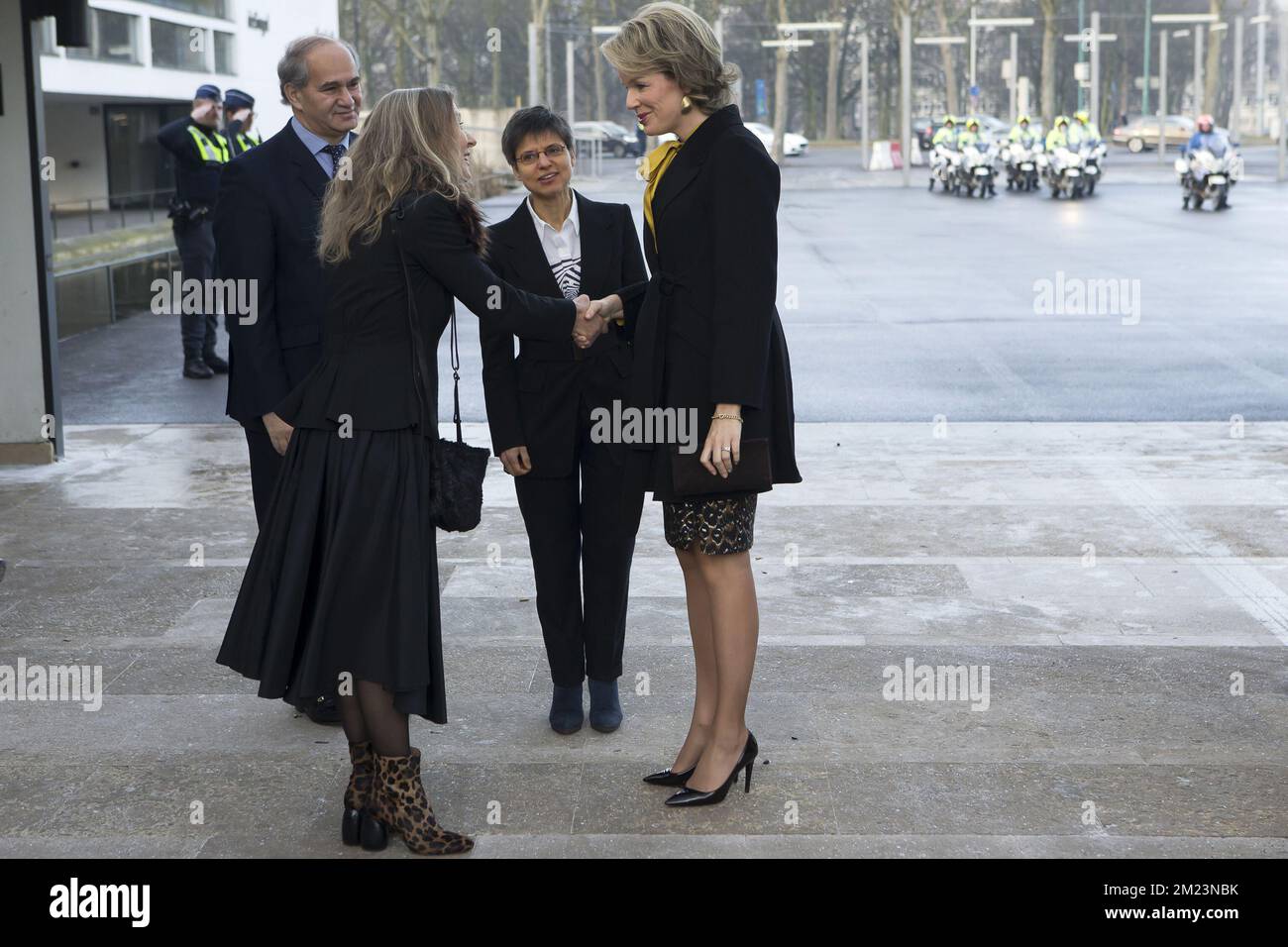 Queen Mathilde of Belgium shakes hands with General director of Artesis ...