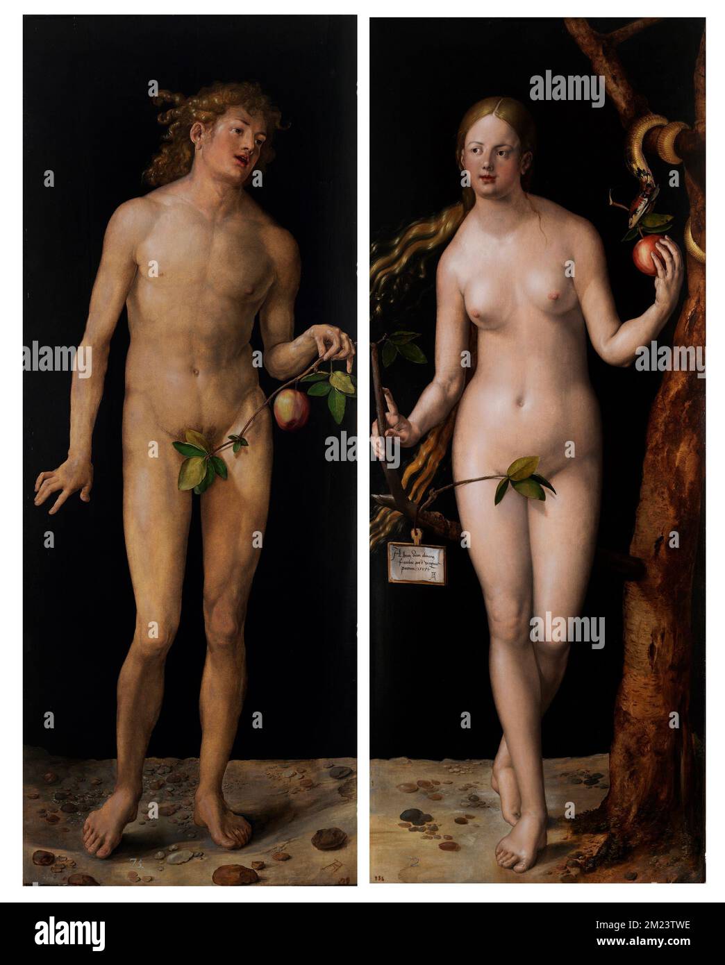 Adam and Eve, Painting by Albrecht Dürer Stock Photo