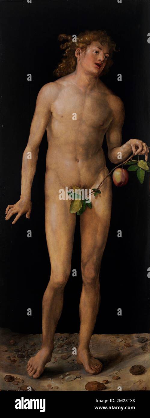 Adam from Adam and Eve, 1507, Painting by Albrecht Dürer Stock Photo