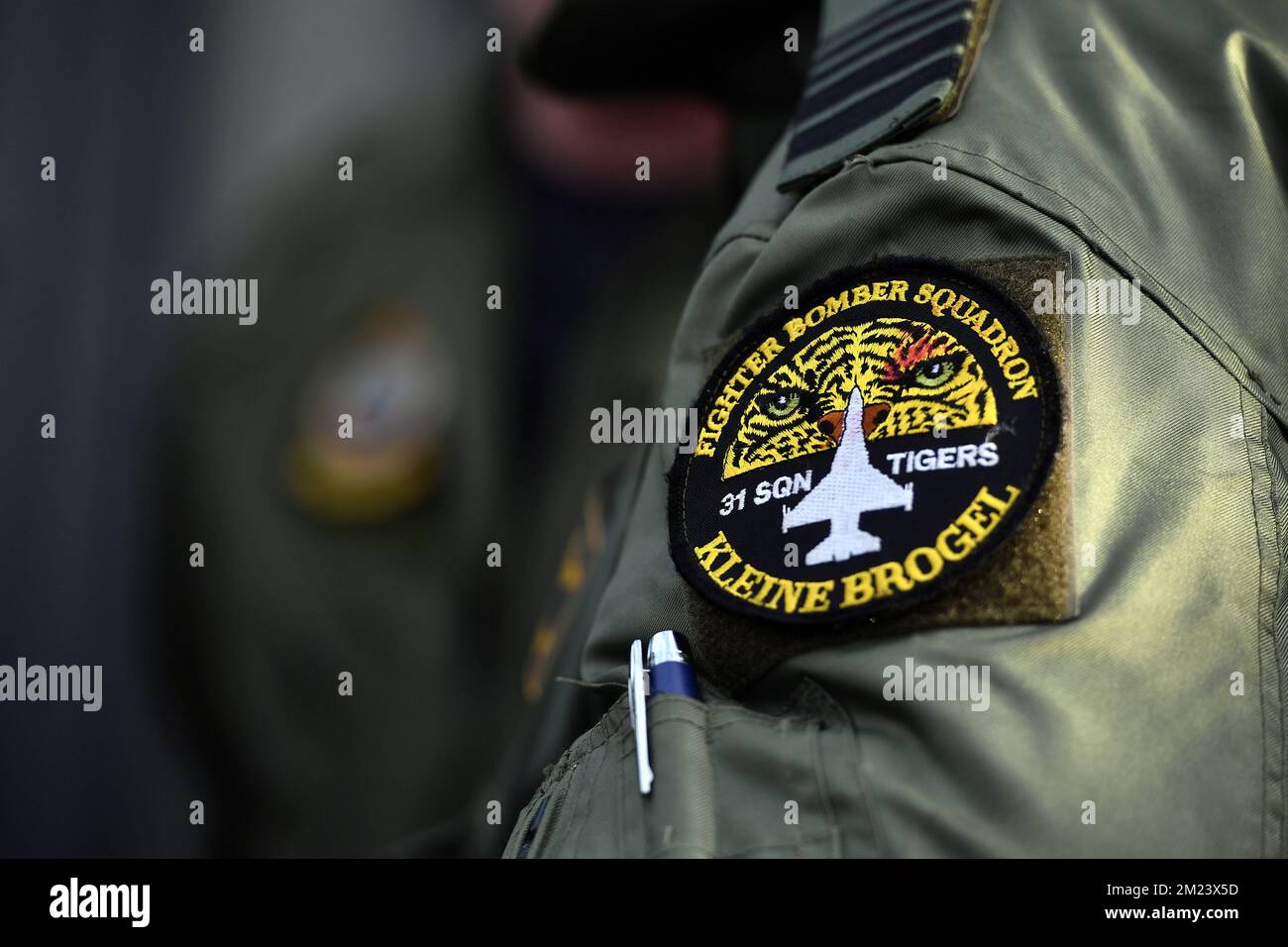 A logo patch of the '31 Sqn Tigers Fighter Bomber Squadron Kleine Brogel' pictured at a visit to the Louise-Marie Frigate, on Friday 16 December 2016, in Catania, Sicily, Italy. The Frigate is part of military operation 'Sophia', which aims to destabilize the business model of human traffickers on the Mediterranean Sea. BELGA PHOTO ERIC LALMAND Stock Photo