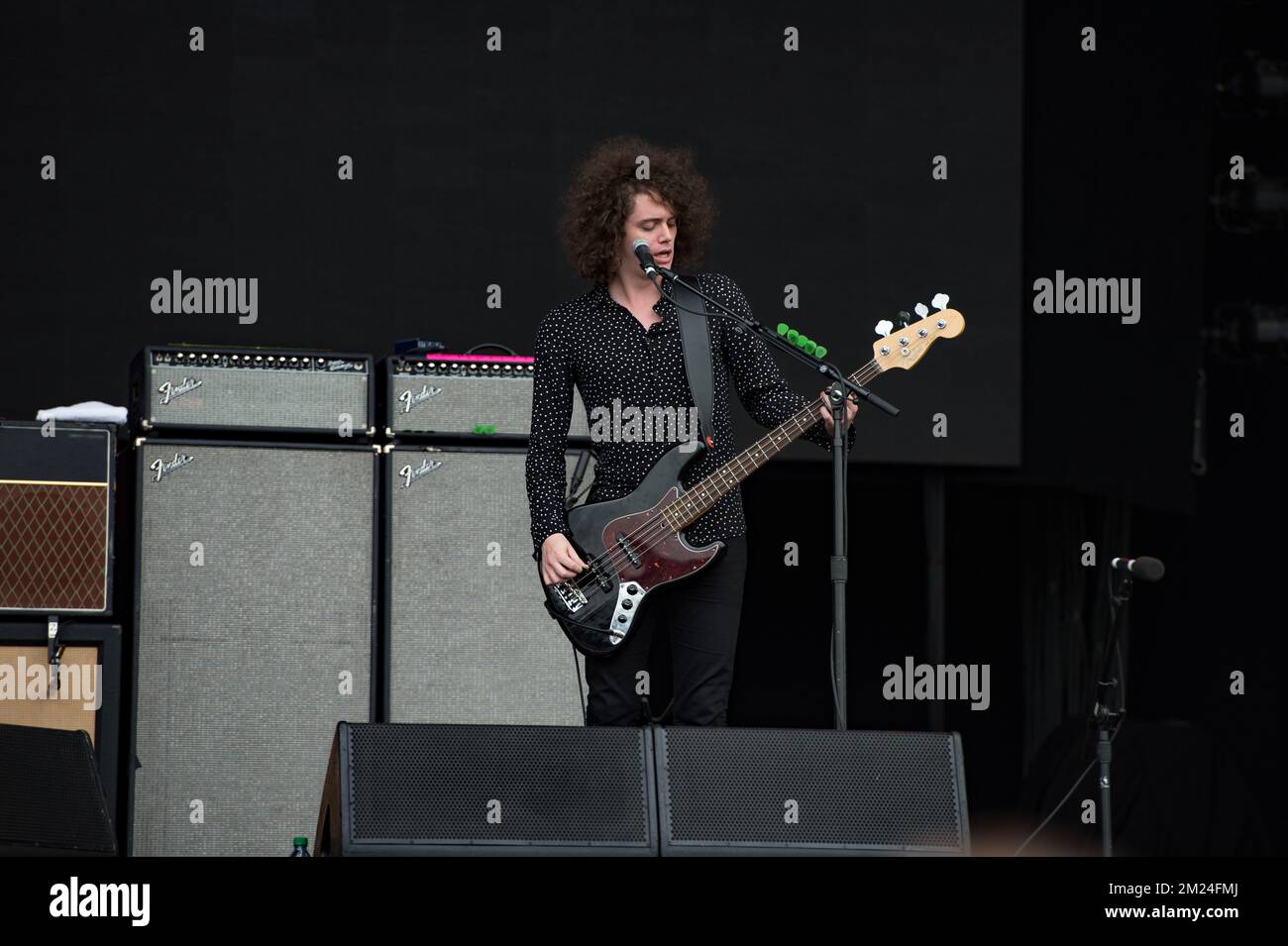 Governors Ball Catfish and the Bottlemen in concert Stock Photo Alamy