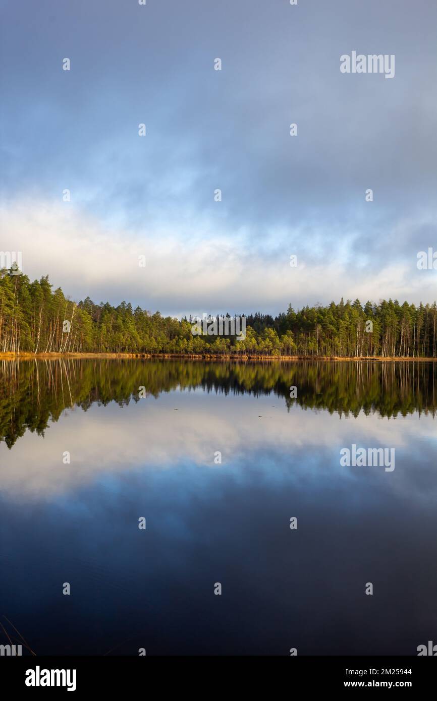 A scenic vertical view of a tranquil lake surrounded by evergreen trees ...