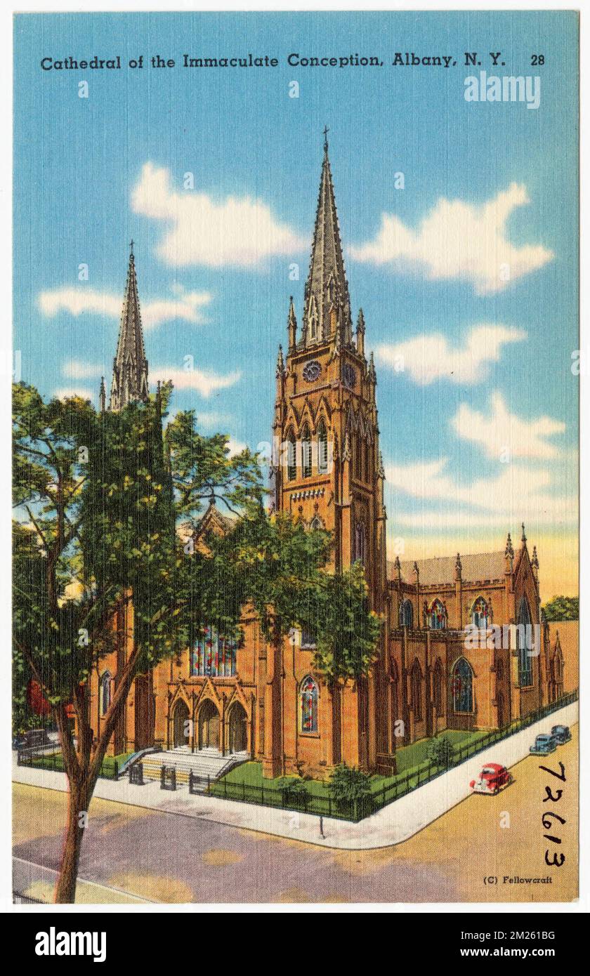 Cathedral of the Immaculate Conception, Albany, N. Y. , Churches, Tichnor Brothers Collection, postcards of the United States Stock Photo