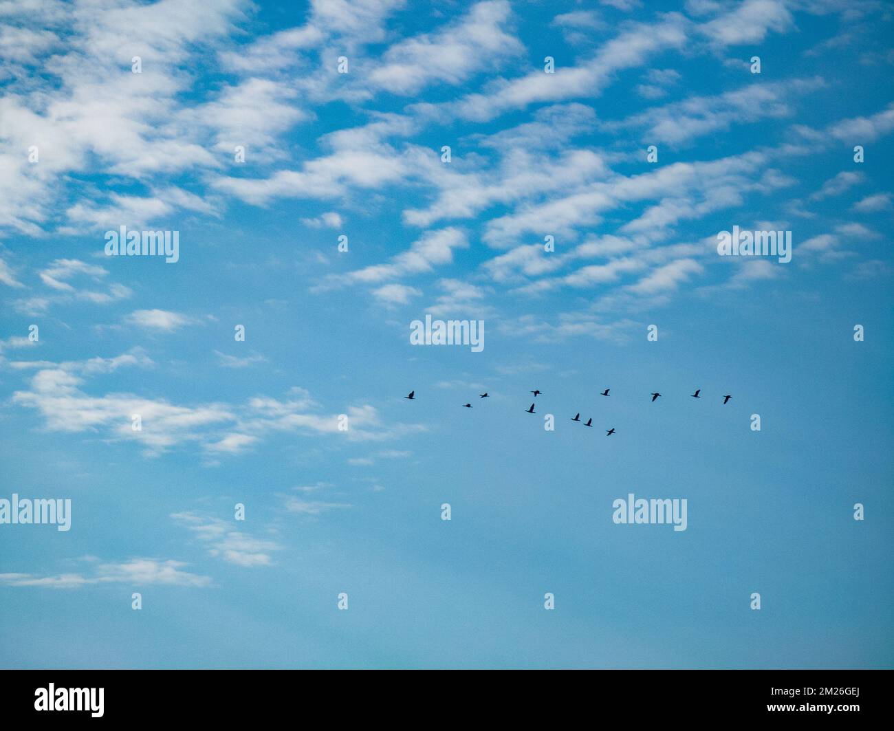 Beautiful nature background. Blue sky with white clouds Stock Photo - Alamy