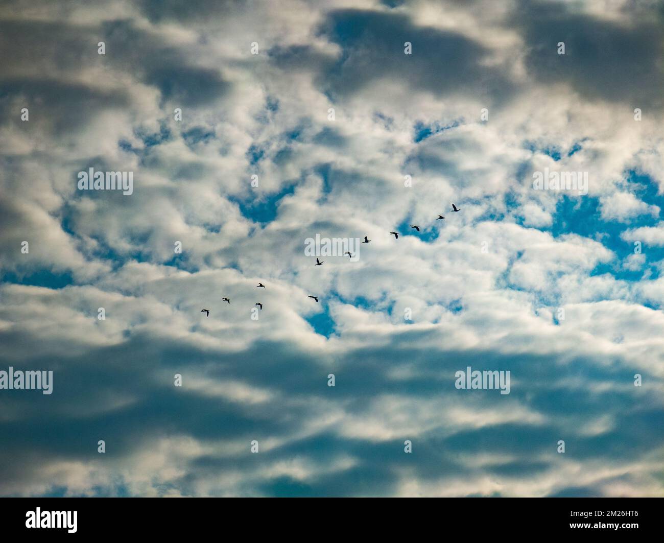 Beautiful nature background. Blue sky with white clouds Stock Photo - Alamy