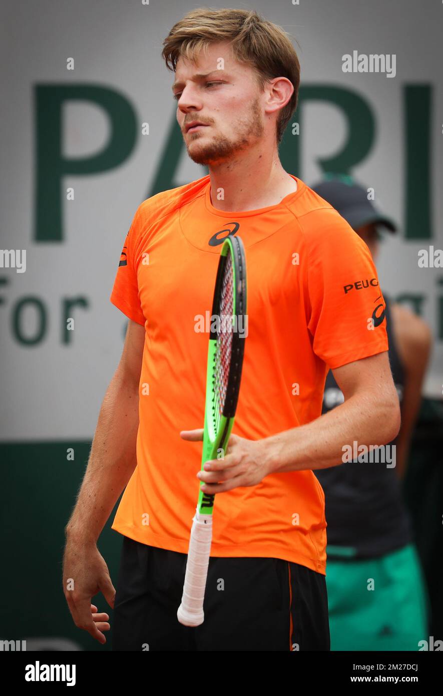 Belgian David Goffin (ATP 12) pictured during a tennis game against French Paul-Henri Mathieu (ATP 120), in the first round of the men's tournament at the Roland Garros French Open tennis tournament, in Paris, France, Monday 29 May 2017. The main table Roland Garros Grand Slam takes place from 29 May to 11 June 2017. BELGA PHOTO VIRGINIE LEFOUR Stock Photo