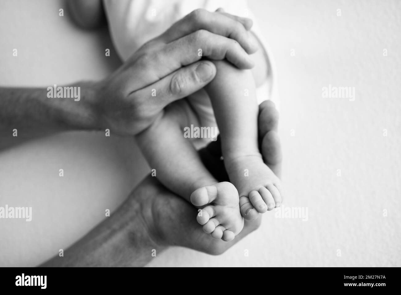 Baby feet in the hands of mother, father, older brother or sister, family.  Stock Photo