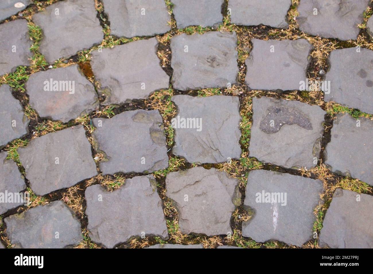 roughtly hewn stone walkway with grass growing in between Stock Photo