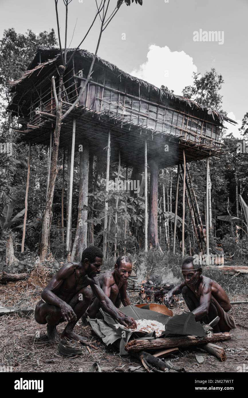Burning sago and sago grubs on rocks is usually done by the Korowai tribe for parties or welcoming guests. The women prepare sago leaves which are tak Stock Photo