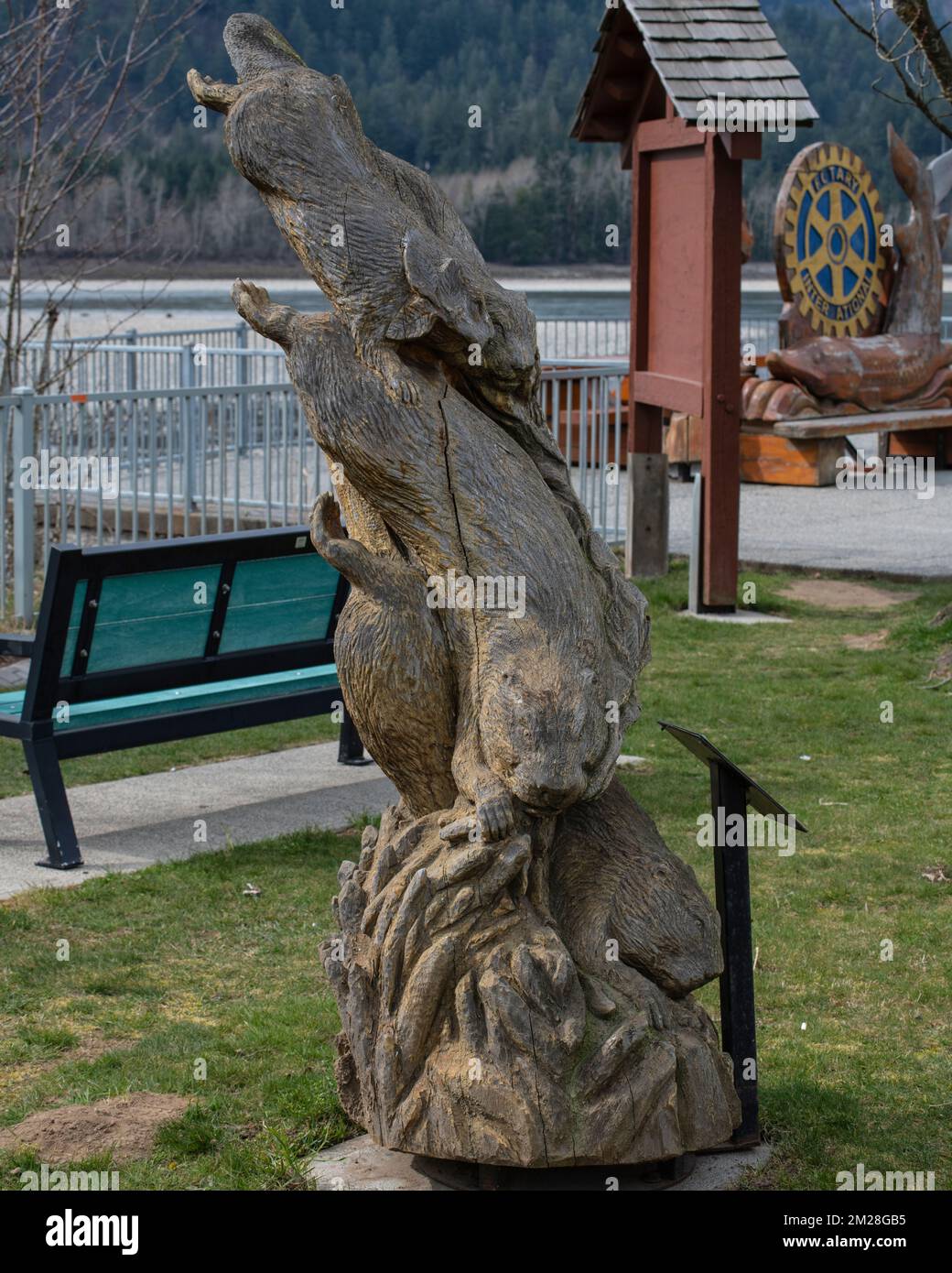 Chainsaw carving hi-res stock photography and images - Alamy