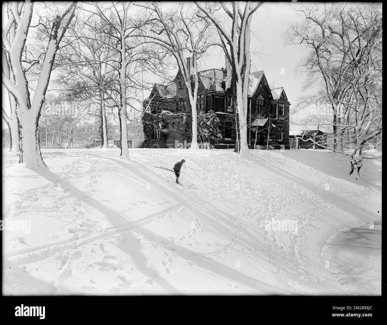 Children's Museum, Jamaica Pond, snow view , Children's museums, Winter