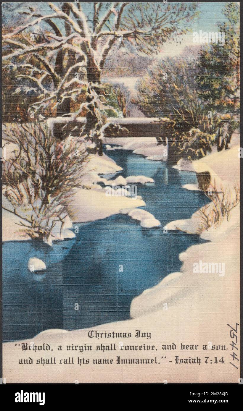 Christmas joy behold a virgin shall conceive and bear a son and