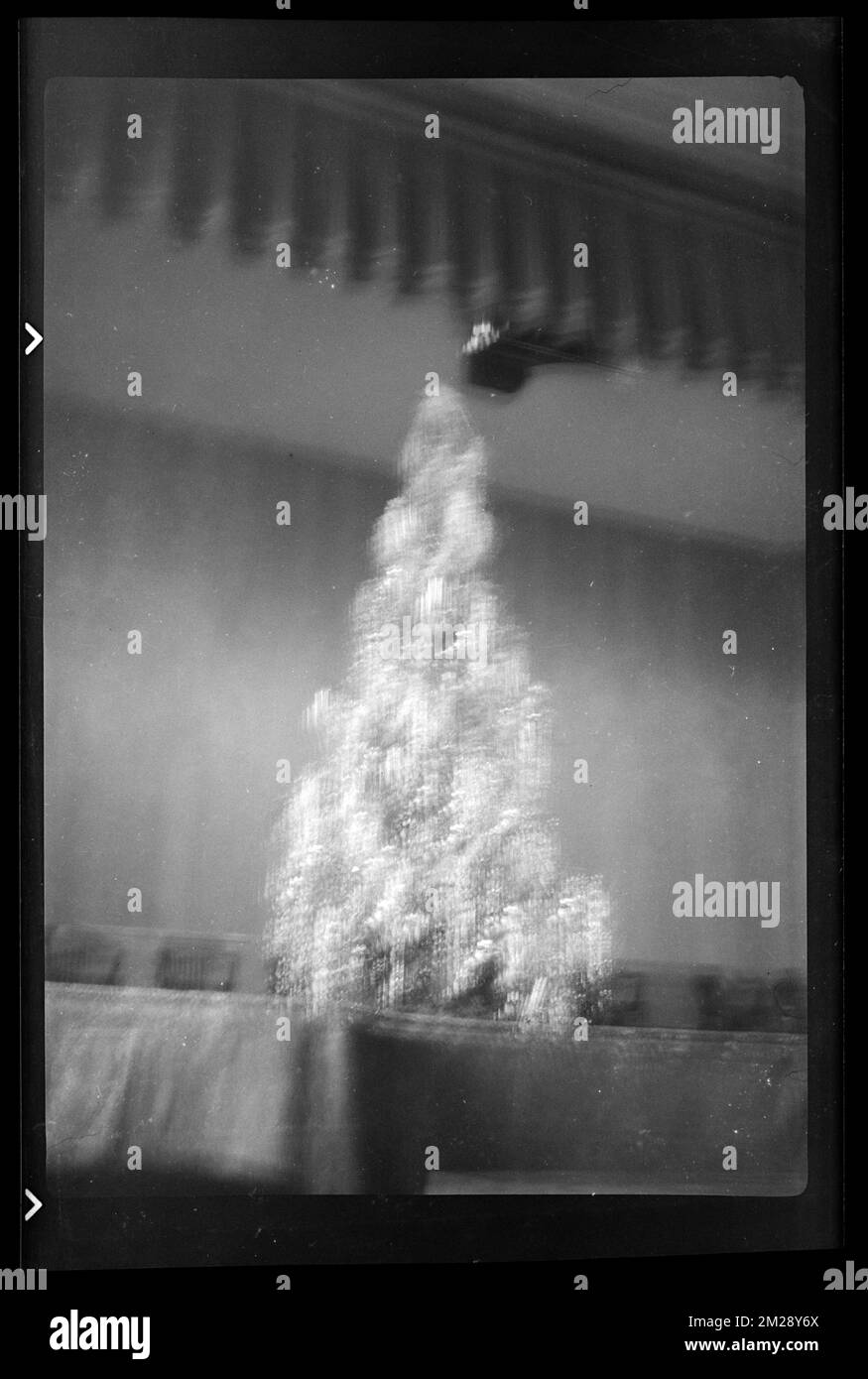 Christmas tree , Christmas trees. Jack Miller Collection Stock Photo ...