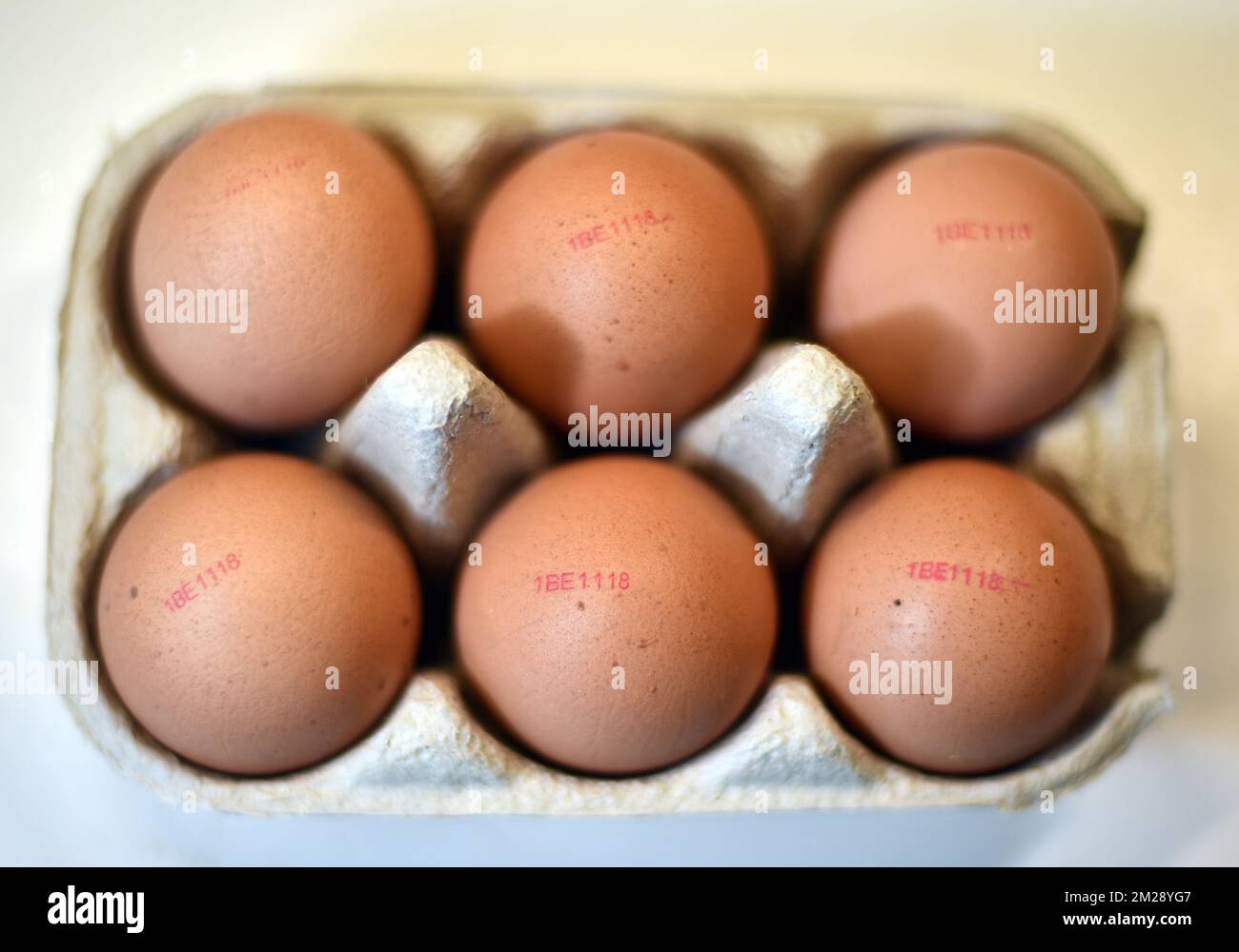 Illustration shows eggs in a kitchen, Tuesday 08 August 2017. Millions of eggs have been pulled from shops in Belgium, the Netherlands and Germany as fipronil was detected in samples. Insecticide fipronil is used to destroy lice and ticks, but it's forbidden for use with animals intended for human consumption. BELGA PHOTO ERIC LALMAND Stock Photo