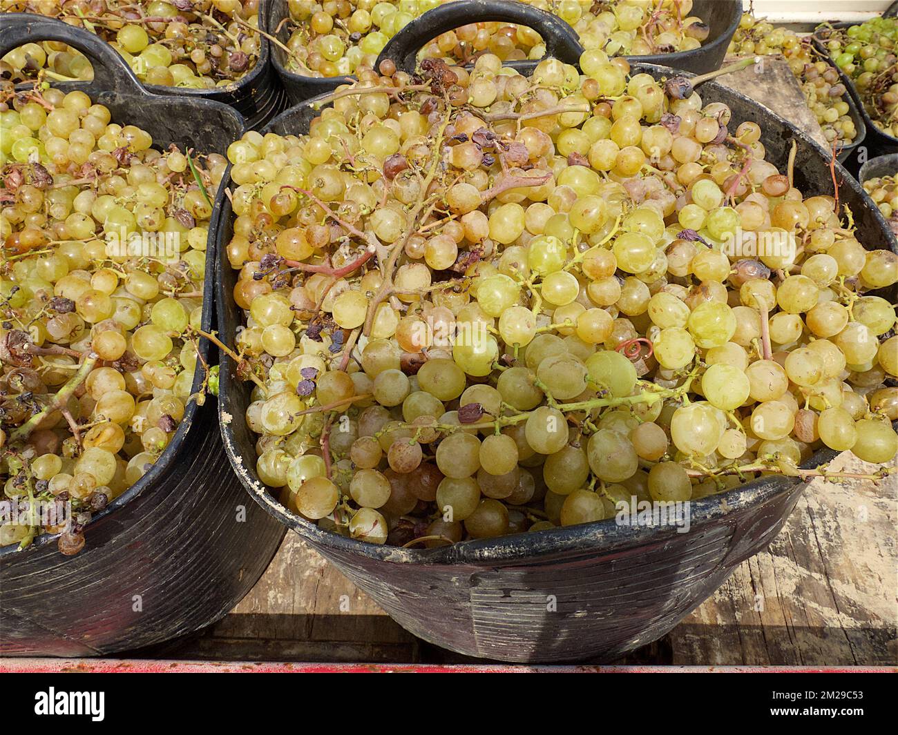 Fermentation alcool hires stock photography and images Alamy
