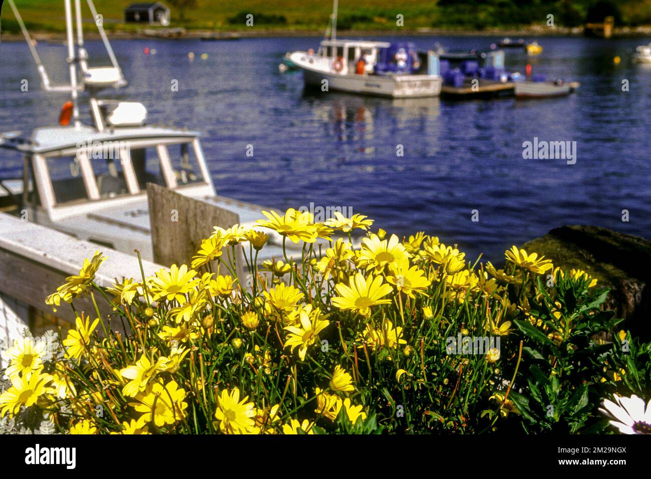 A fishing boat docked at Bailey Island, Maine Stock Photo Alamy