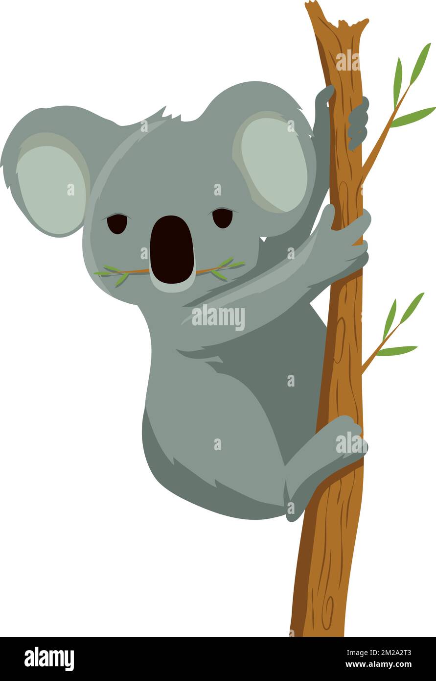 koala australian animal in tree Stock Vector Image & Art - Alamy
