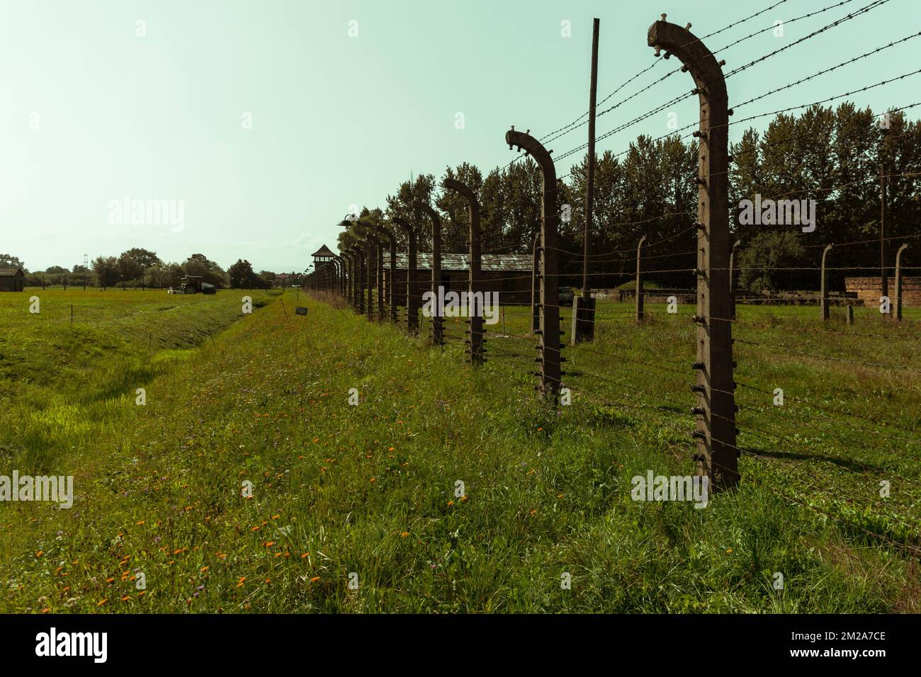 Auschwitz II - Birkenau Watchtower and fence system Stock Photo