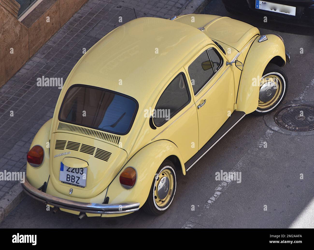 11 coccinelles hi-res stock photography and images - Alamy