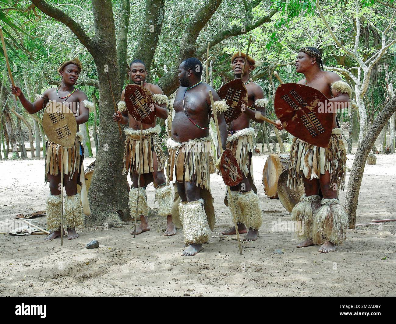 Zulu Tribes in South Africa Tribus Zoulous en Afrique du Sud 02/08