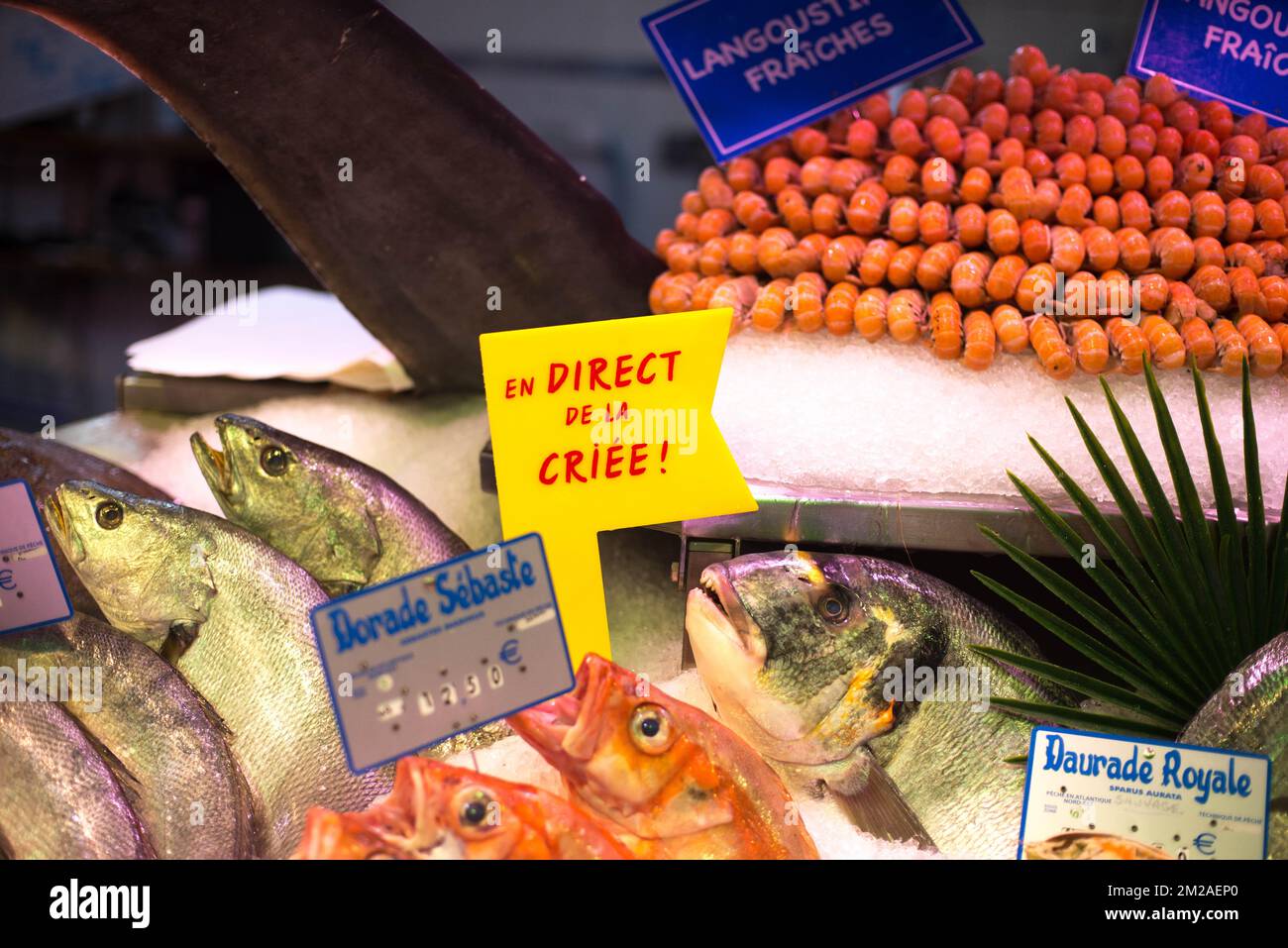 Poisson naturel hi-res stock photography and images - Alamy