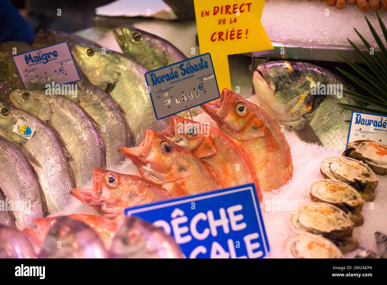 Poisson naturel hi-res stock photography and images - Alamy