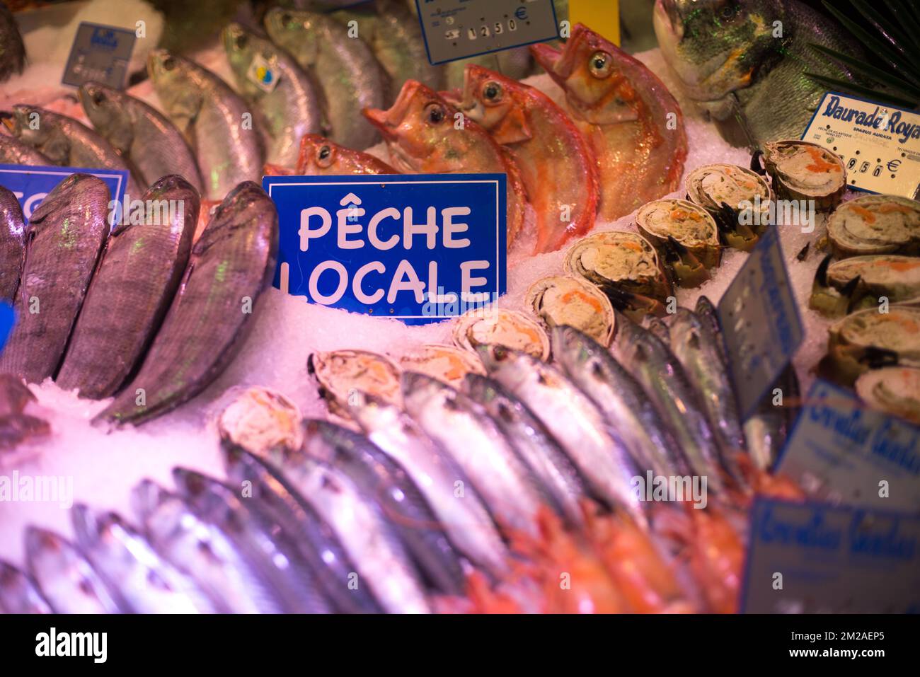 Poisson naturel hi-res stock photography and images - Alamy