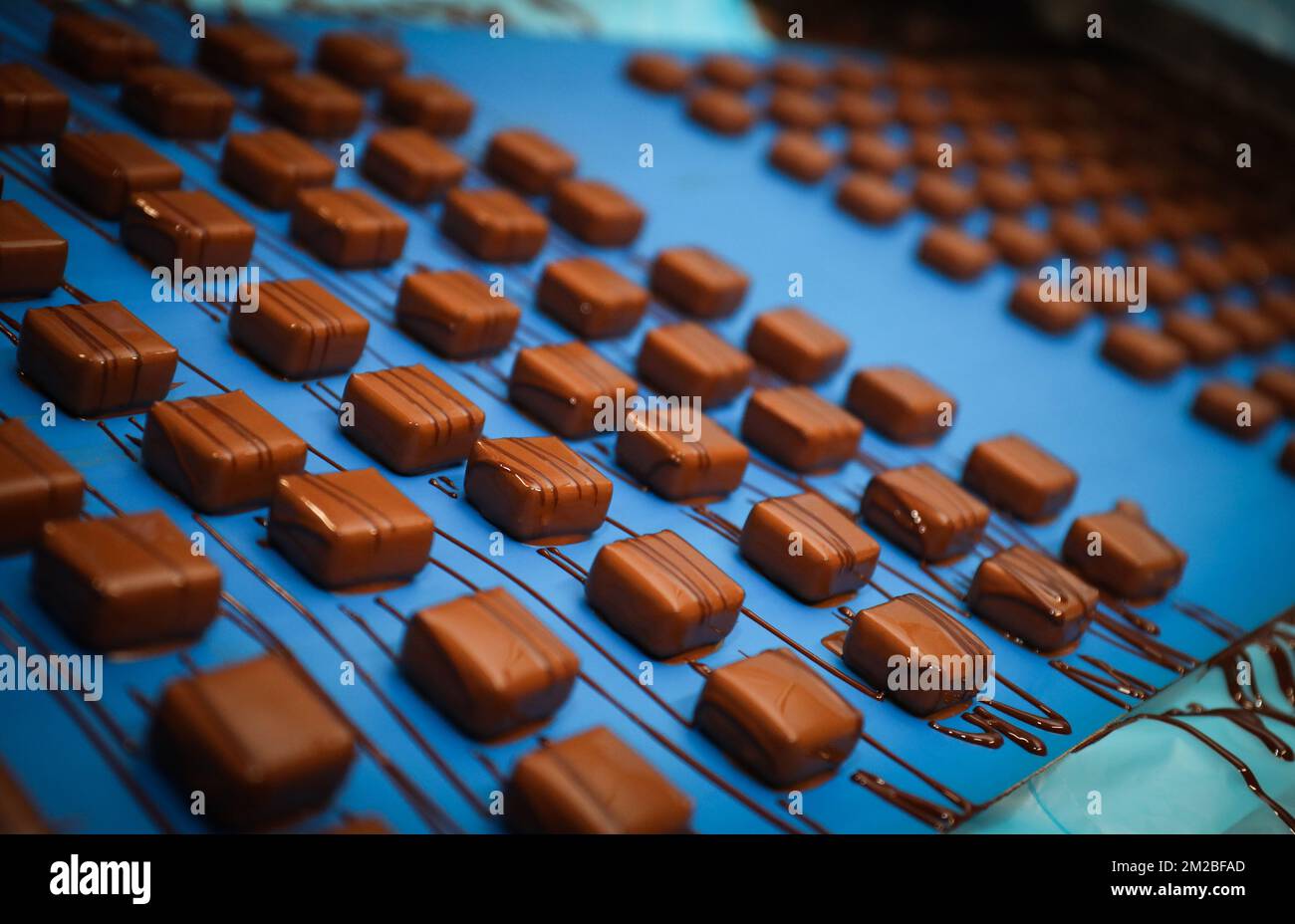 Illustration picture shows of Belvas chocolate enterprise during a