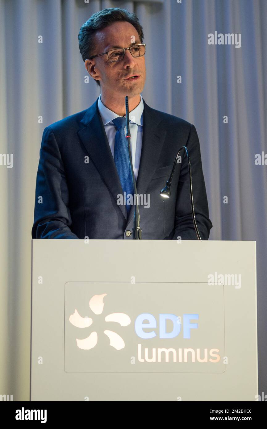 Luminus edf 2024