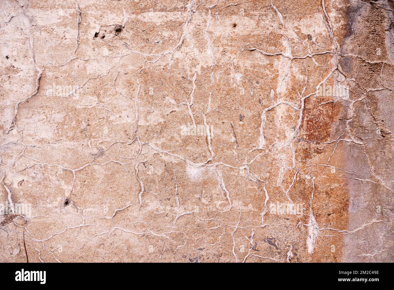 Texture of old gray concrete wall for background Stock Photo - Alamy