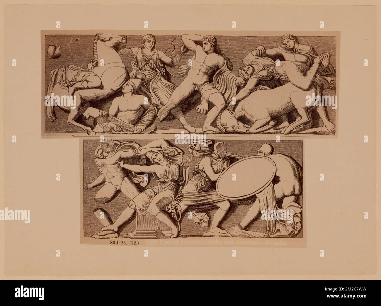 Contest between Greeks and Amazons - Phigalia , Antiquities, Campaigns & battles, Warriors, Amazons. Nicholas Catsimpoolas Collection Stock Photo