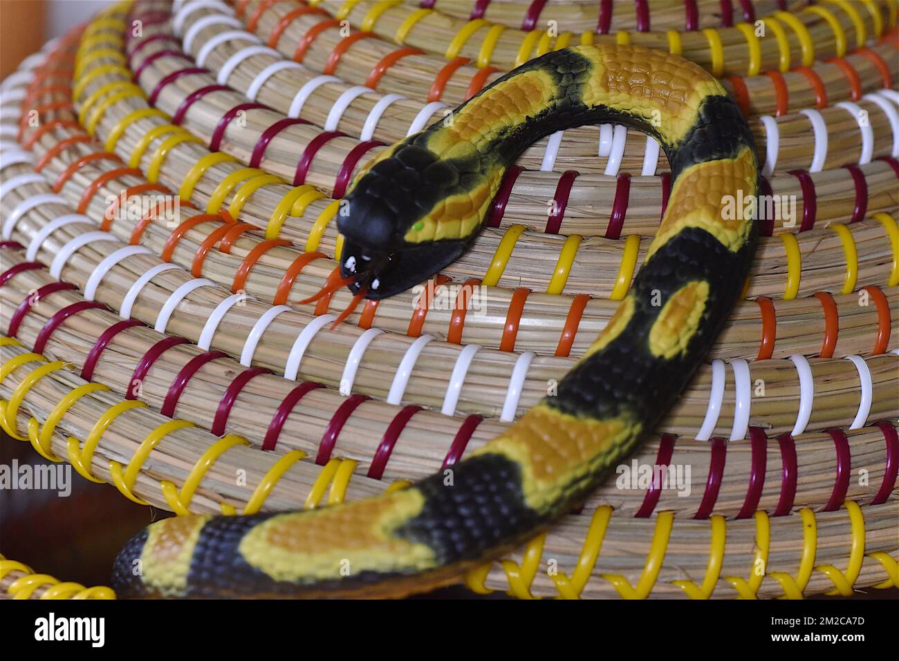 Snake python | Serpent Python 19/01/2018 Stock Photo - Alamy