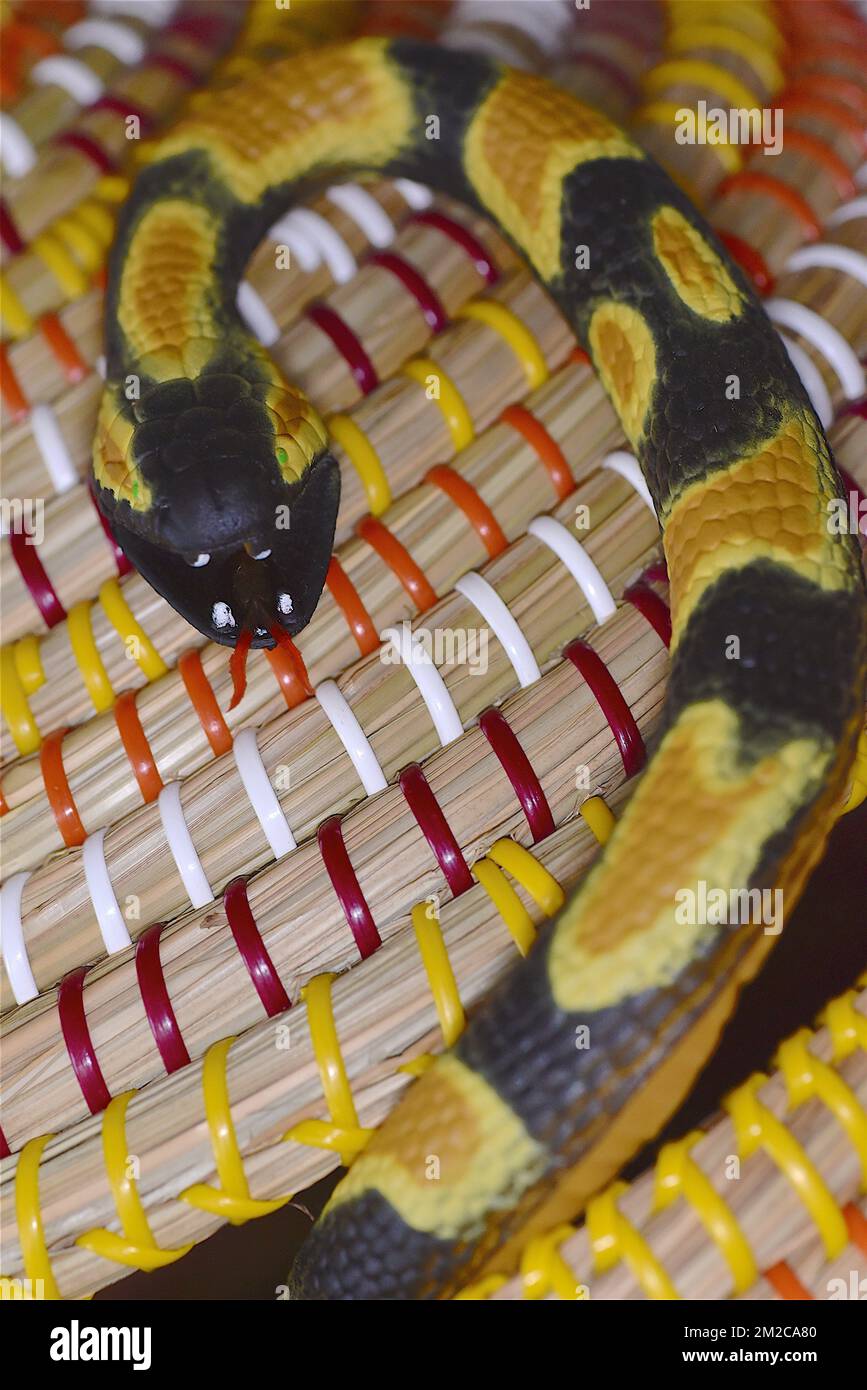 Snake python | Serpent Python 19/01/2018 Stock Photo - Alamy