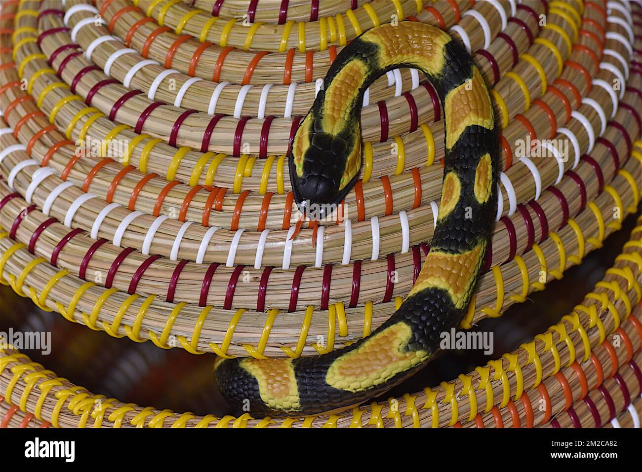 Python serpent hi-res stock photography and images - Alamy