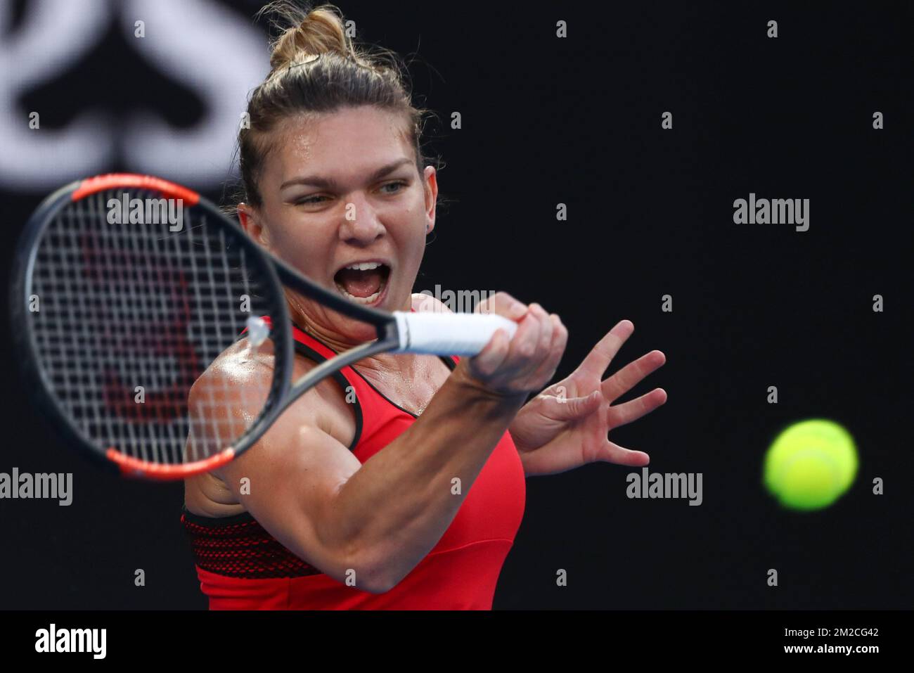 Halep wta sale