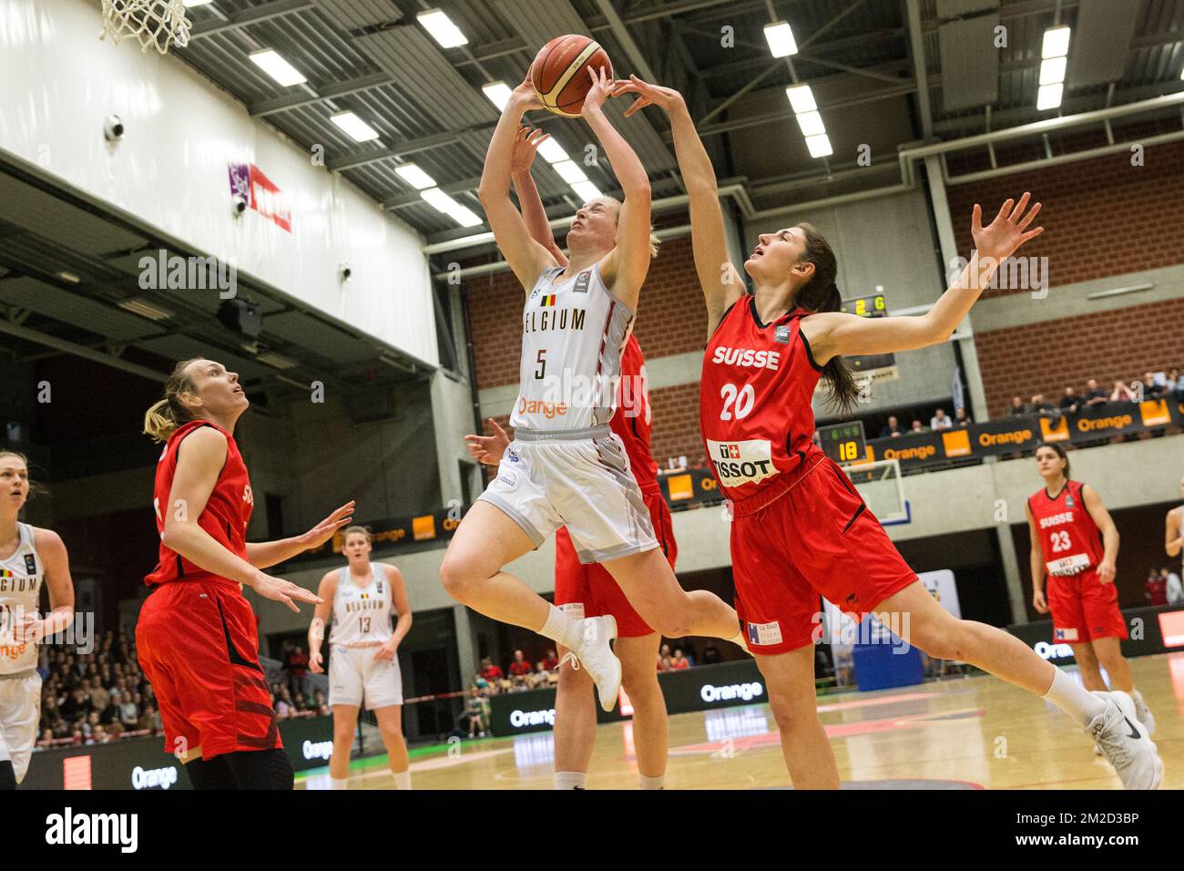 Swiss Meline Franchina and Belgian Cats Antonia Delaere fight for the ball  during the Euro 2019 qualification match between the Belgian Cats,  Belgium's women national basketball team, and Switzerland, on Wednesday 14
