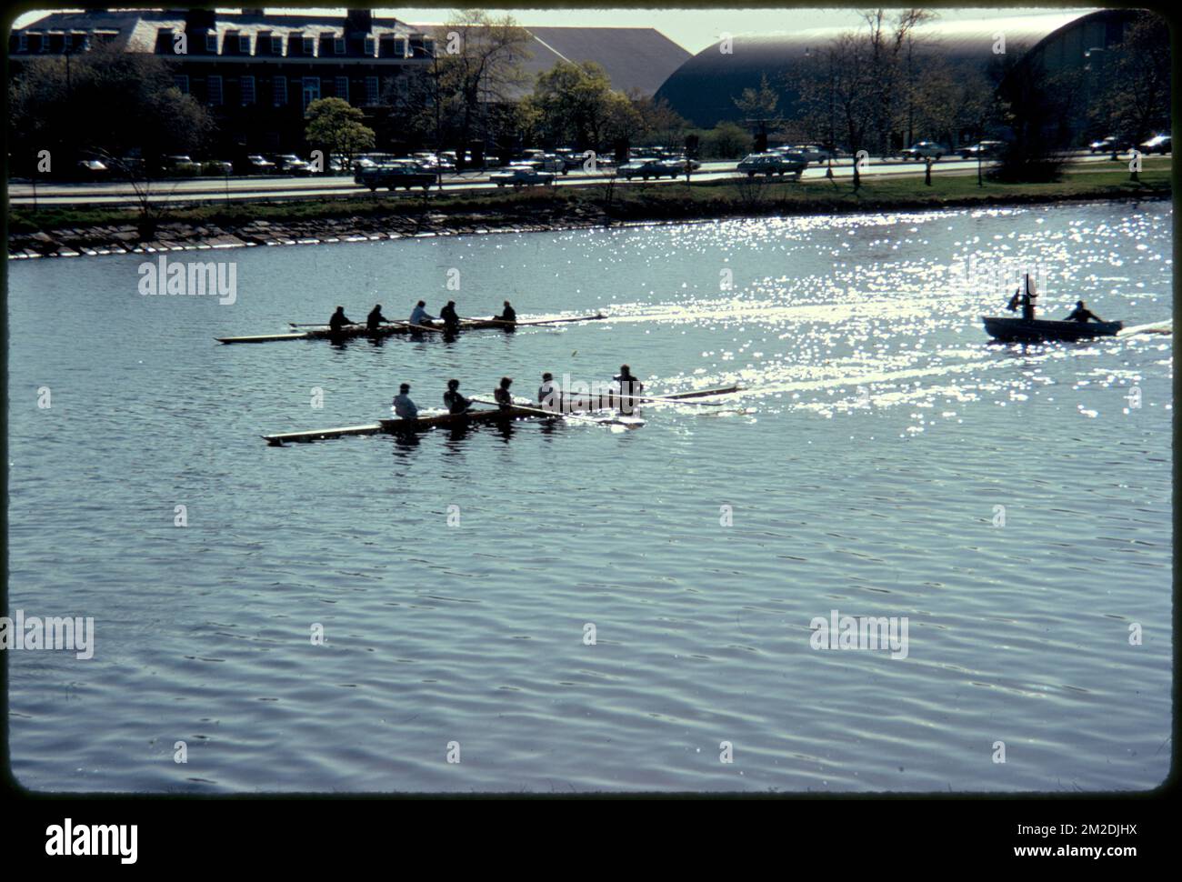 Crewing on the Charles , Rivers, Waterfronts, Rowing, Rowers ...