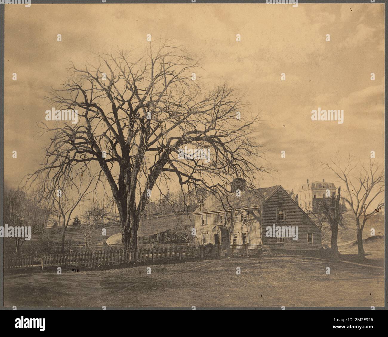 Curtis House, Lamartine Street , Historic buildings, Houses, Boston