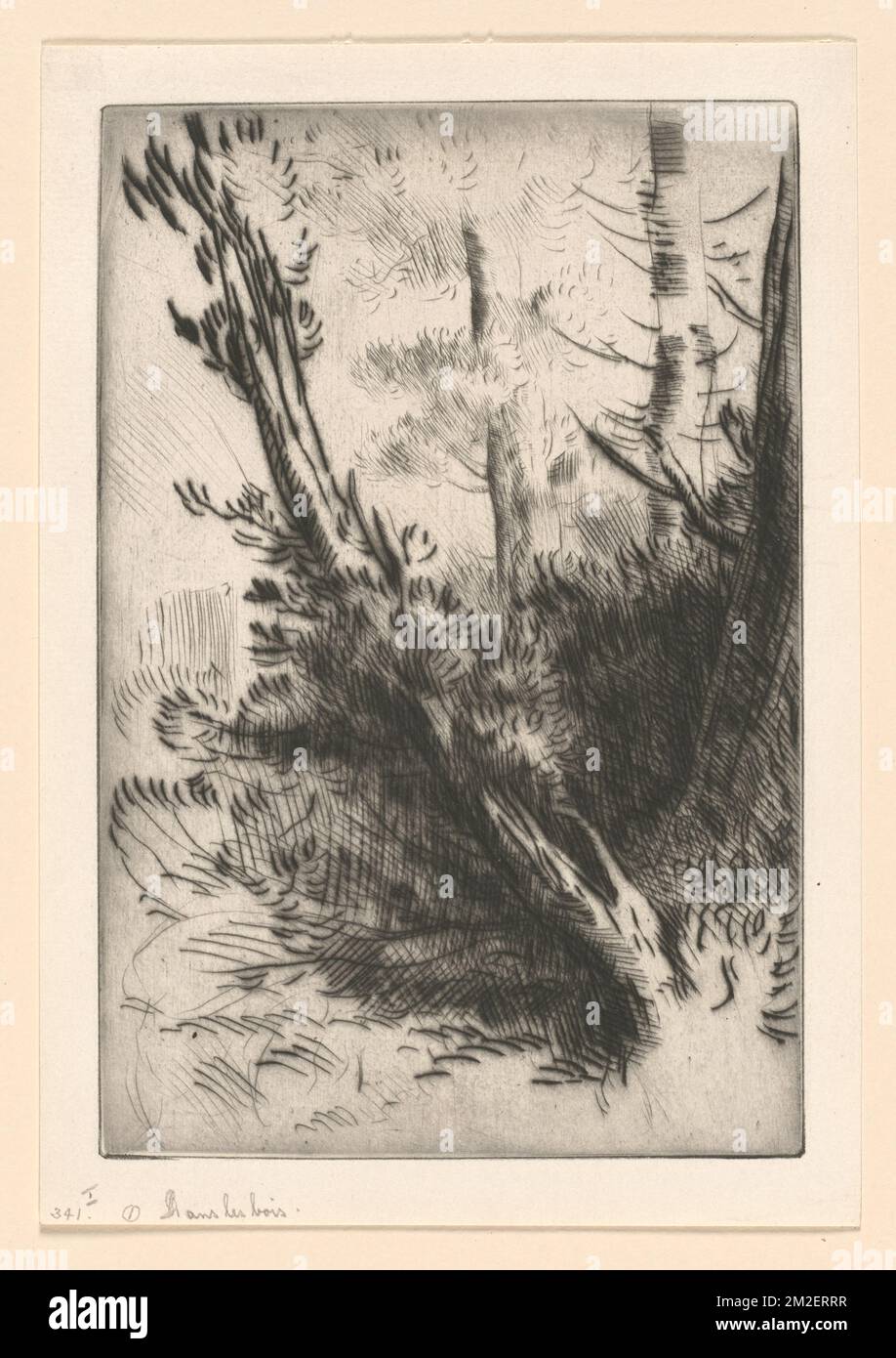 Engravings In Trees Wood engravings 19th century trees hi-res stock photography and images ...