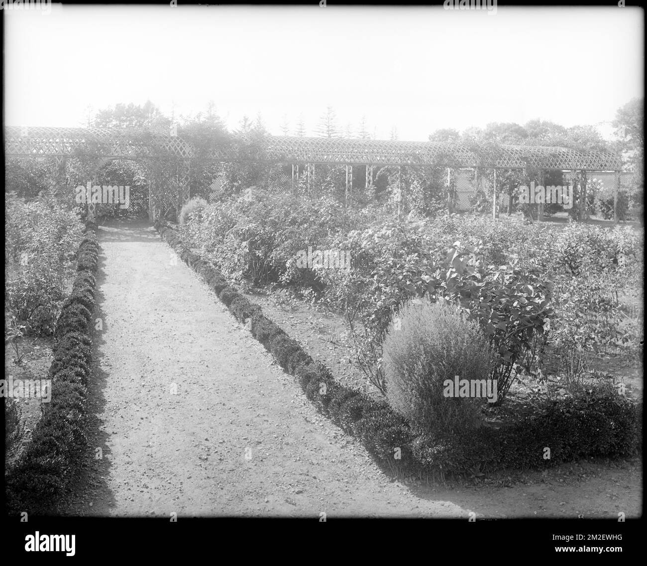 Danvers, Collins Street, views, arbor and garden, at Robert 'King' Hooper house, 1754 , Arbors Bowers, Gardens, Trails & paths. Frank Cousins Glass Plate Negatives Collection Stock Photo