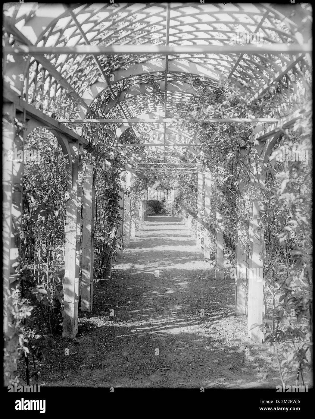 Danvers, Collins Street, views, under arbor at Robert 'King' Hooper house, 1754 , Arbors Bowers. Frank Cousins Glass Plate Negatives Collection Stock Photo