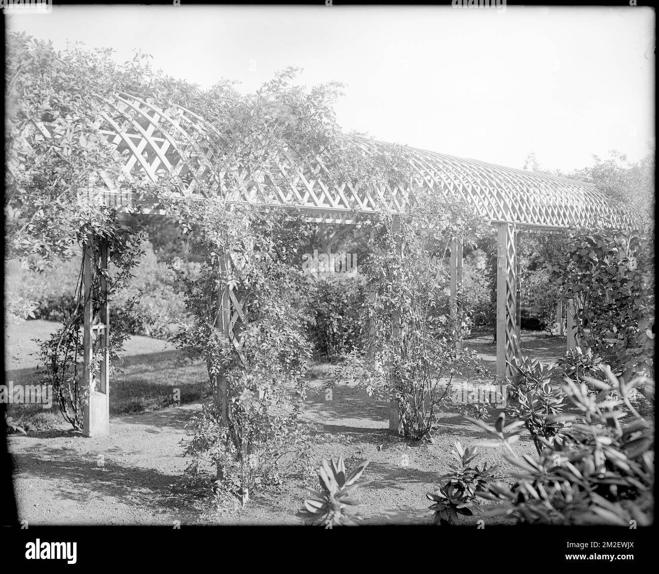 Danvers, Collins Street, views, arbor at Robert 'King' Hooper house, 1754 , Arbors Bowers. Frank Cousins Glass Plate Negatives Collection Stock Photo