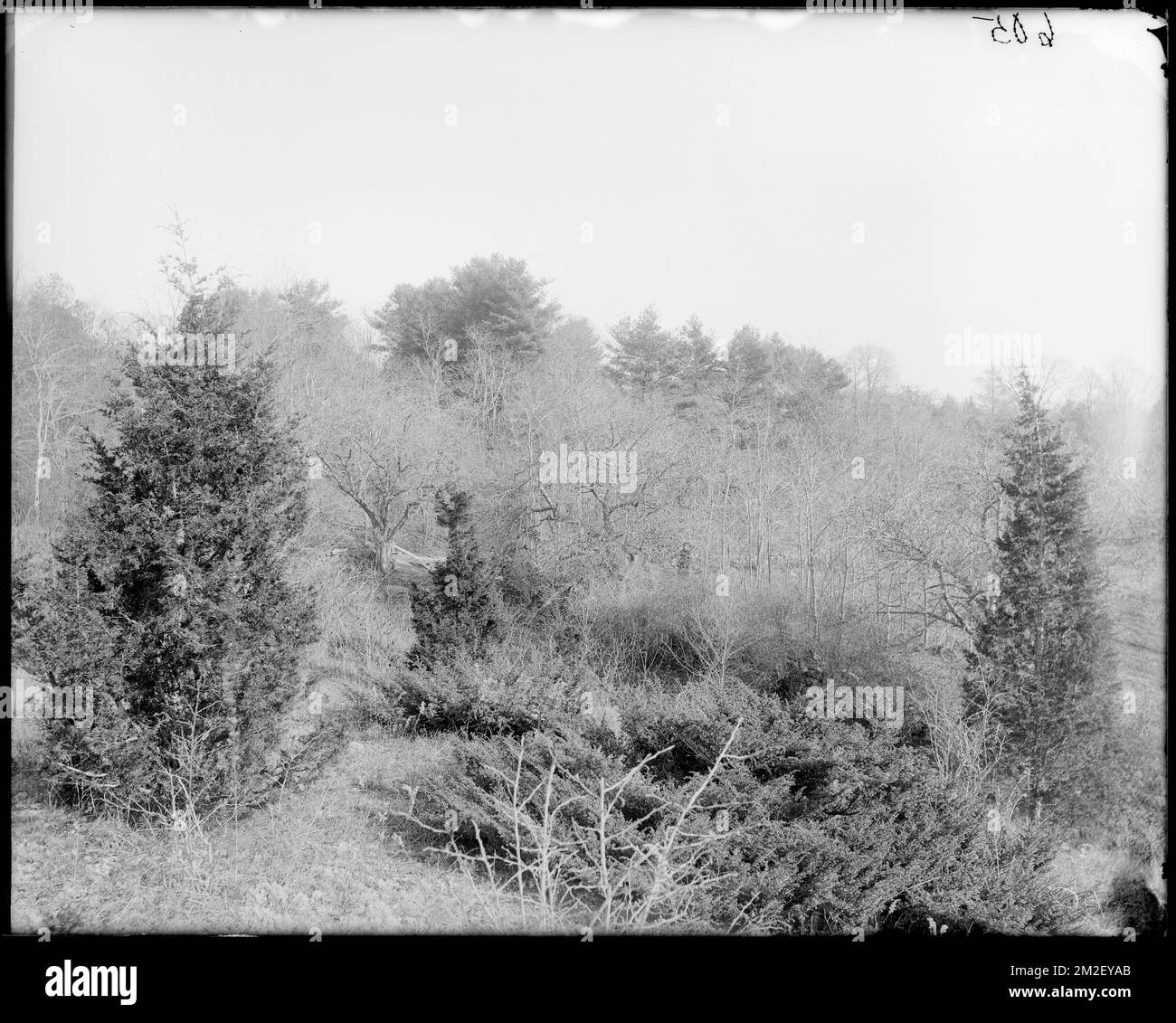 Danvers, site of Israel Putnam log cabin , Cities & towns, Land, Putnam