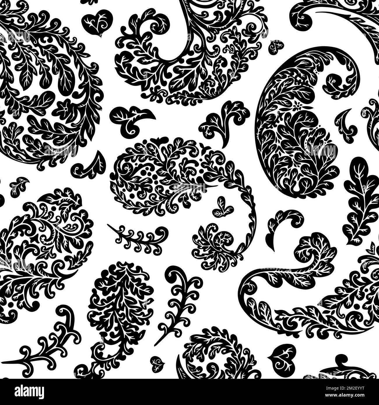 Leaf plant colorless foliage Black and White Stock Photos & Images - Alamy